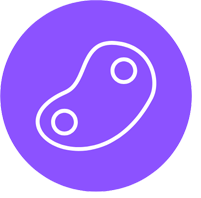 لحومات وجاج