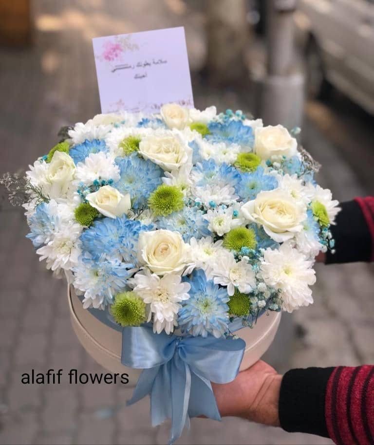 بوكس ورد ملون