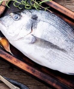 سمك نيء أجاج ١ كغ