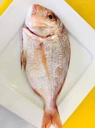 سمك فريدي نيء ١ كغ